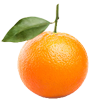 Orange Beauty