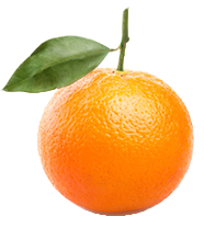Orange Beauty